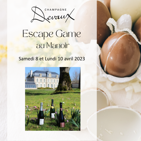 Escape game at the Manoir - TERRE DE VINS